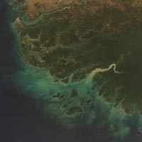 Niger river estuaries