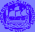 Spotwave, University of Lisbon